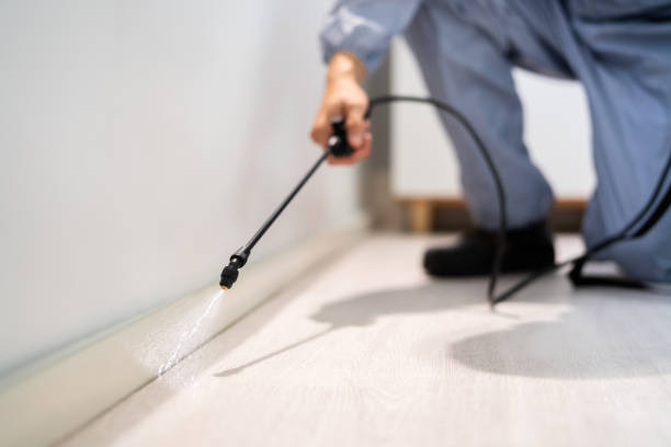 Licensed Pest Control service in Cadillac, MI - Show Me Pest Control