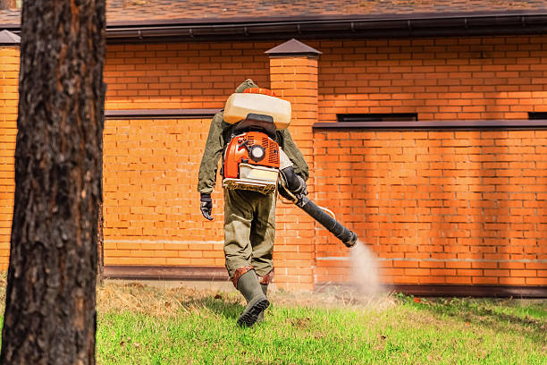 Bed Bug Clearance Verification and Documentation in Cadillac